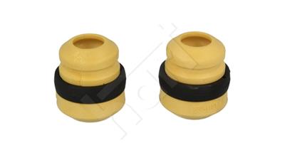 HART 450 209 EAN: 5901219488151.