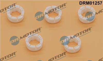 Dr.Motor Automotive DRM01257 EAN: 5904639600691.