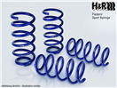 H&R 29176HA1 Zadní pružina podvozku 29176HA1