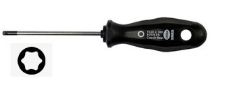 Šroubovák Torx TX25 808825