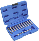 ASTA A-P12GB Sada na opravu vodítek brzdových třmenů, 12 kusů