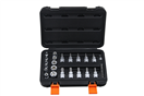 TOKO 100-05906 hlavice zástrčné a nástrčné 1/4 - 3/8, bity 1/4, Torx - E-profil, sada 29 dílů - VÝPRODEJ