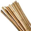 145440 Tyč bamboo, průměr 1- 1,5 cm, délka 150 cm