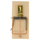 150112 Past na myši dřevěná, standard