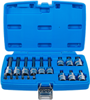 BGS technic 5171 BGS 5171, Sada nástrčných hlavic 6,3 mm (1/4) / 12,5 mm (1/2) vnitřní šestihran 18dílná