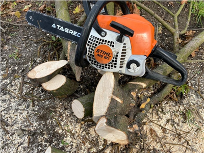 Pilový řetěz 35 cm, 3/8