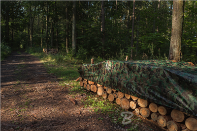 Plachta zakrývací 10x8m, 90g, maskovací CAMOforest