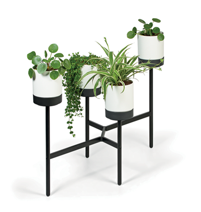 Stojan na květiny 4L BLOMIE STAND