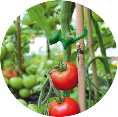 Spona pro uchycení rostlin, 45ks, 3 rozměry