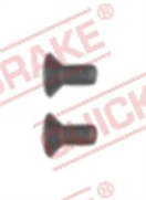 QUICK BRAKE 11665K Šroub QUICK BRAKE M8x1.25, na brzdové kotouče, 2 ks
