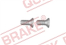 QUICK BRAKE 11671K Šroub M6x1, délka 14 mm, na brzdové kotouče