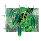 TR21775 Síť podpěrná | 1,2x10m, rozměr oka 10x10cm (náhrada za 7516)