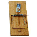 9022 Past | na myši dřevěná 4,5x10 cm